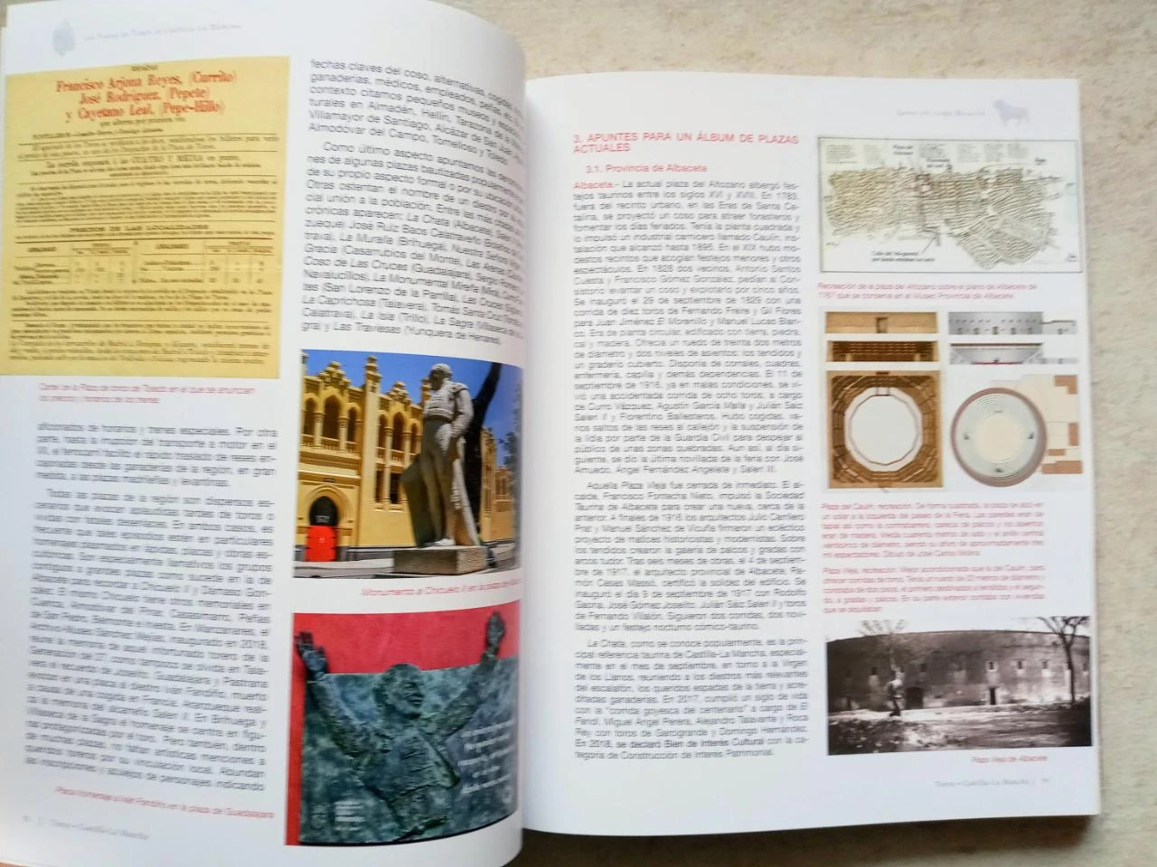 Livro Touros em Castilla-La Mancha – photo 5